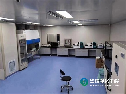 1733362253859750.jpg 21.jpg